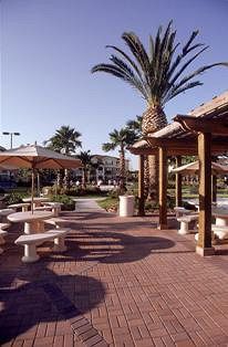 Mainsail Tampa Extended Stay מראה חיצוני תמונה